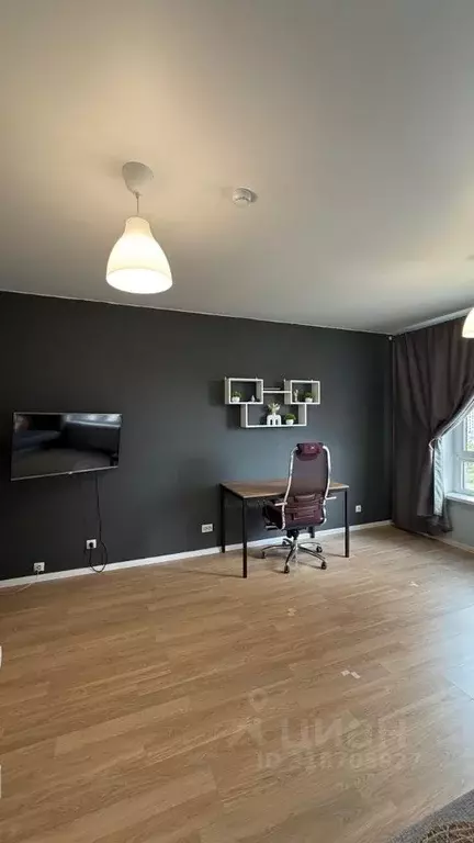 Студия Санкт-Петербург просп. Орлово-Денисовский, 19к3 (25.8 м) - Фото 0
