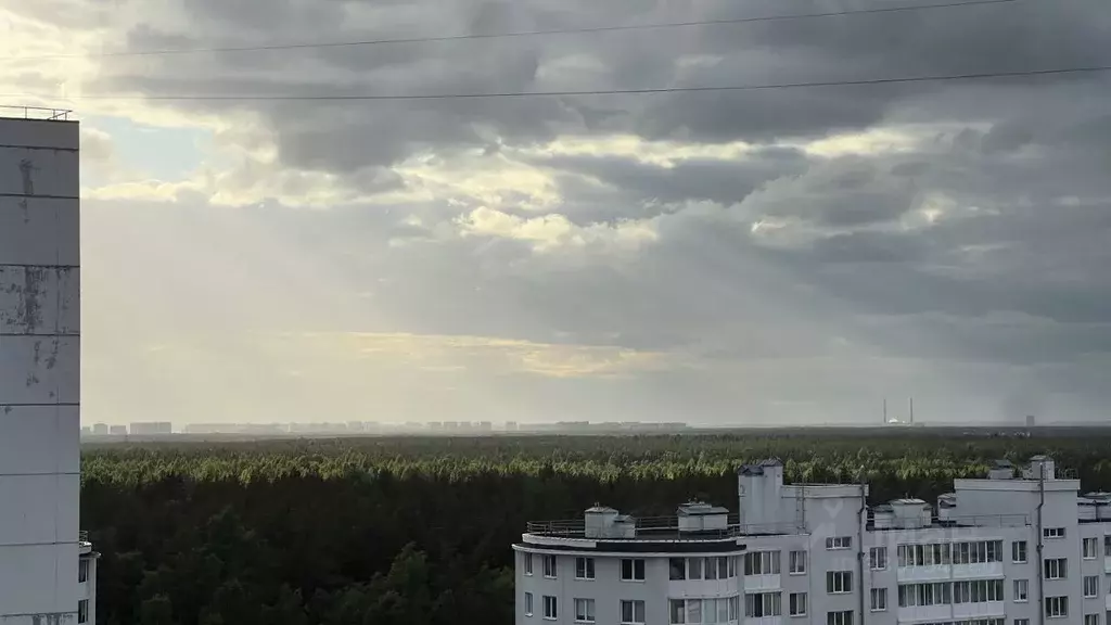 1-к кв. Ленинградская область, Всеволожск ул. Севастопольская, 1 (42.0 ... - Фото 2