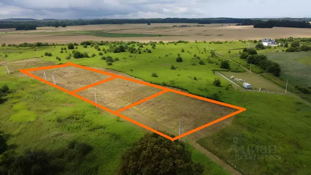 Участок в Калининградская область, Зеленоградский муниципальный округ, ... - Фото 1