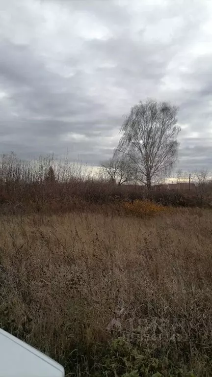 Участок в Татарстан, Зеленодольский район, с. Мизиново Советская ул., ... - Фото 0