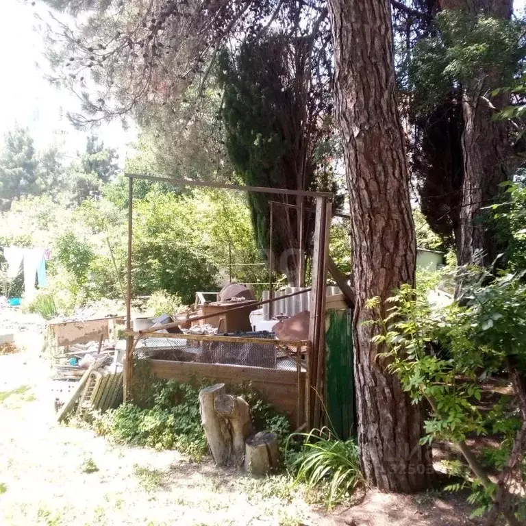 Участок в Краснодарский край, Геленджик  (6.44 сот.) - Фото 2