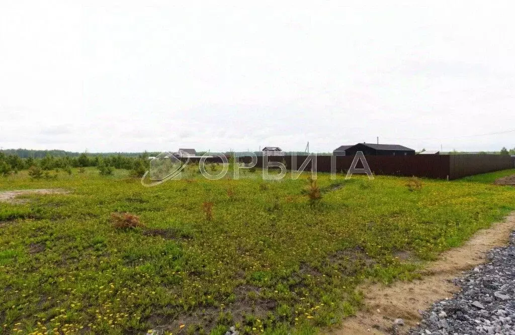 Участок в Тюменская область, Тюменский район, с. Кулига, Кулига-2 мкр  ... - Фото 2