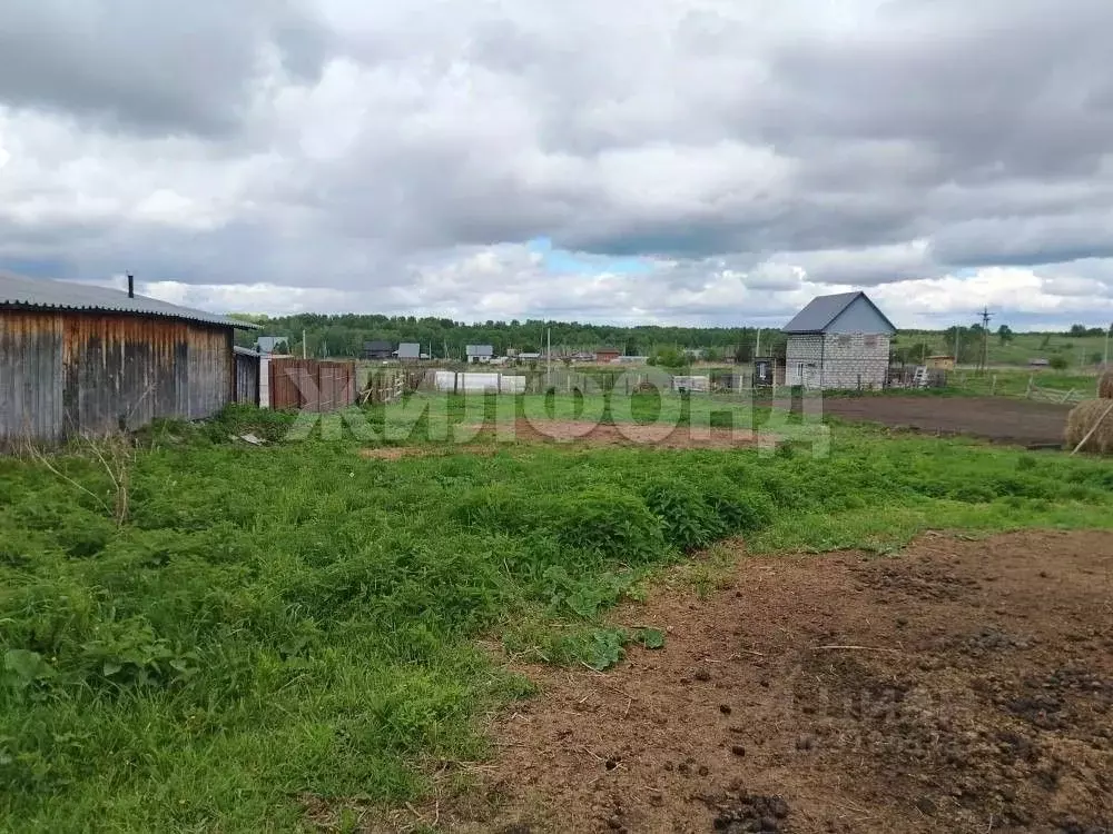Участок в Новосибирская область, Мошковский район, с. Локти Школьная ... - Фото 0
