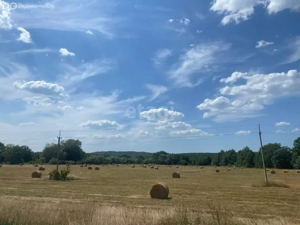 Участок в Краснодарский край, Горячий Ключ (16 м) - Фото 1