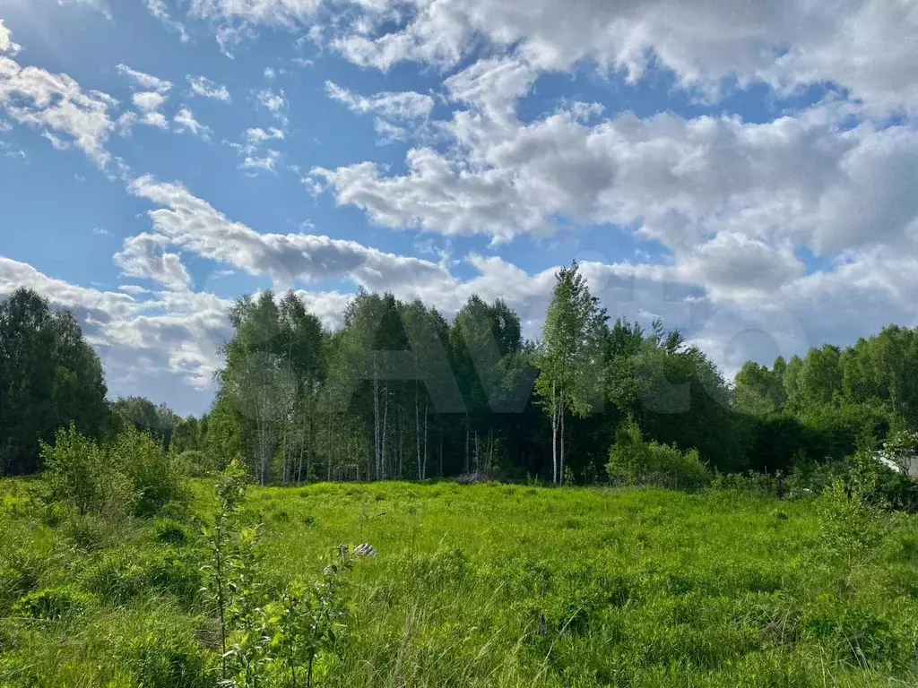 Дом 48,3 м на участке 19 сот. - Фото 1