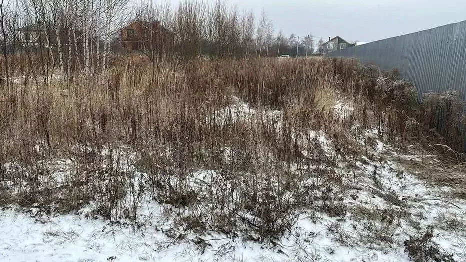 Участок в Рязанская область, Рязанский муниципальный округ, с. ... - Фото 1