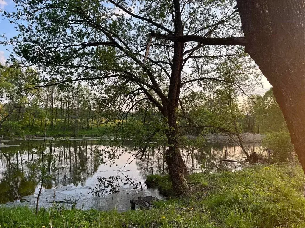 Участок в Московская область, Серпухов городской округ, пос. Оболенск ... - Фото 1