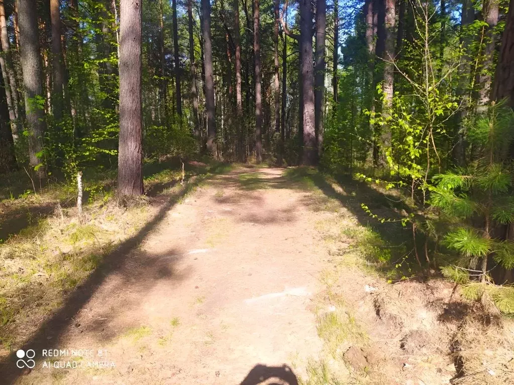 Участок в Томская область, Томский район, с. Половинка (Базанаково), ... - Фото 1