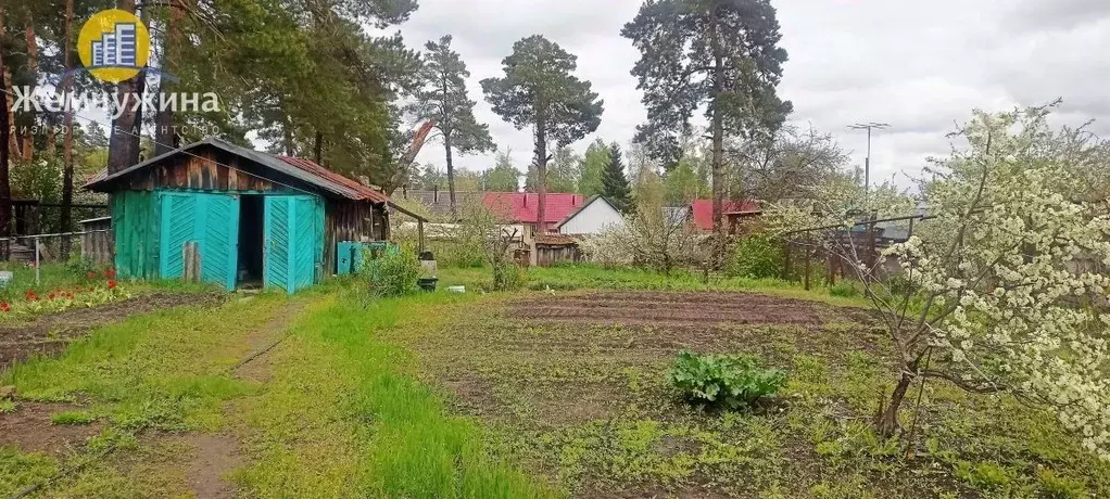 Дом в Ульяновская область, Димитровград Жигулевская ул. (55 м) - Фото 0