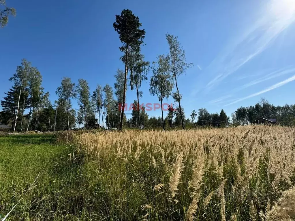 Участок в Московская область, Раменский городской округ, д. Фенино 41 ... - Фото 0