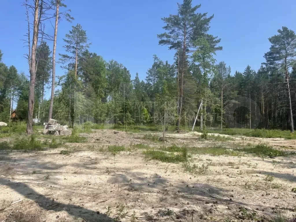 Участок 14,2 сот. (личное подсобное хозяйство (лпх)) - Фото 1