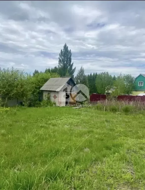 Участок в Новосибирская область, Искитимский район, Чернореченский ... - Фото 2