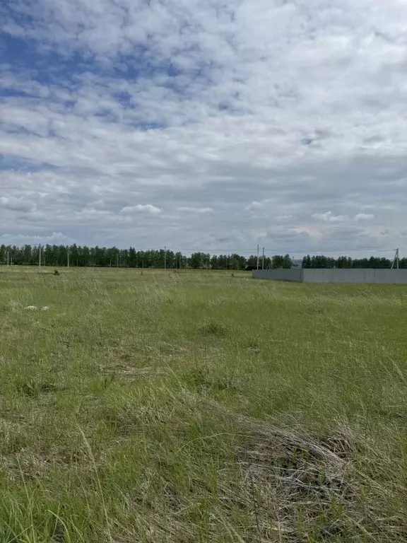 Участок в Пензенская область, с. Бессоновка ул. Родниковая (14.0 сот.) - Фото 1