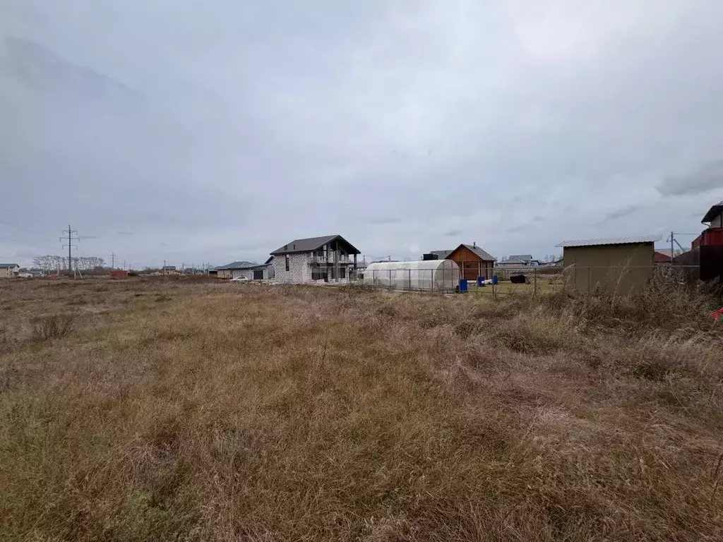 Участок в Новосибирская область, Новосибирский район, Морской ... - Фото 1