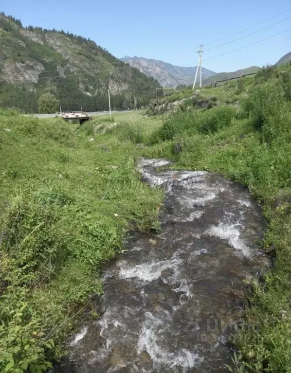 Участок в Алтай, Чемальский район, с. Еланда Катунская ул. (8.0 сот.) - Фото 0