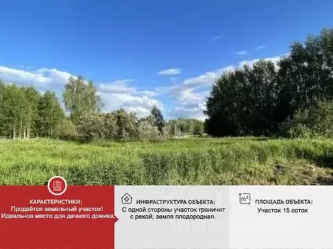 Участок в Ярославская область, Некрасовский муниципальный округ, ... - Фото 0