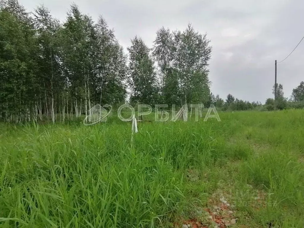 Участок в Тюменская область, Нижнетавдинский район, Строитель ТСН 860 ... - Фото 1