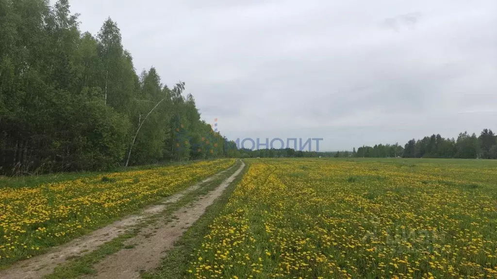 Участок в Нижегородская область, Богородский муниципальный округ, с. ... - Фото 1