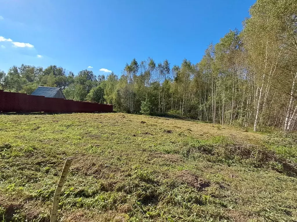 Участок в Московская область, Клин городской округ, Раменка СНТ  (10.0 ... - Фото 1