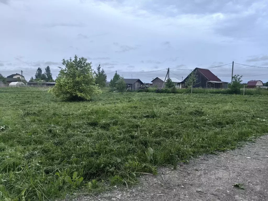 Участок в Ленинградская область, Волосовский район, Калитинское с/пос, ... - Фото 2