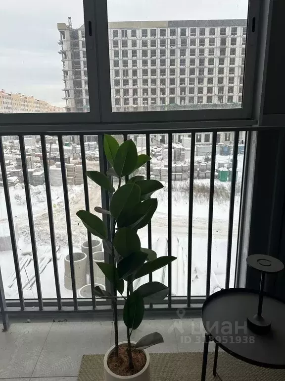 Студия Московская область, Люберцы городской округ, Жилино-1 пгт 75 ... - Фото 0