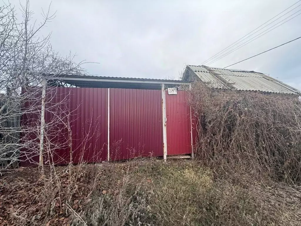 Участок в Оренбургская область, Оренбургский район, Степановский ... - Фото 1