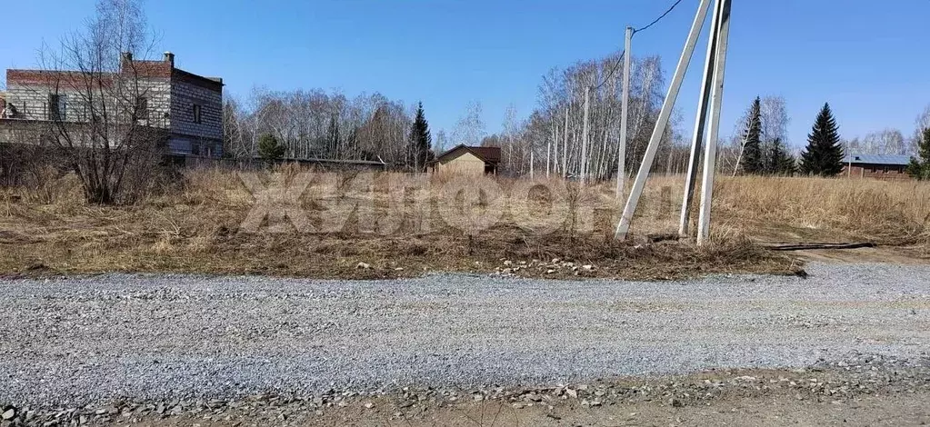 Участок в Новосибирская область, Новосибирский район, Морской ... - Фото 0