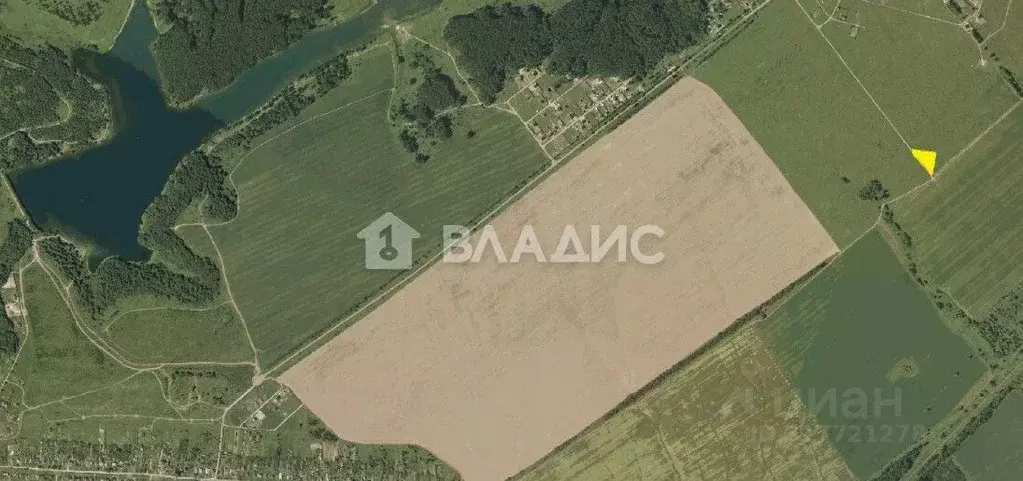 Участок в Нижегородская область, Богородский муниципальный округ, с. ... - Фото 0