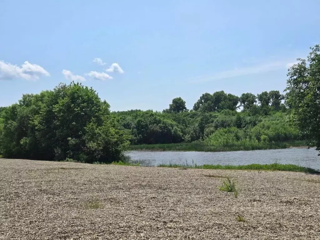 Участок в Хабаровский край, Хабаровский район, с. Краснореченское  ... - Фото 2