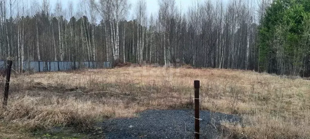 Участок в Ханты-Мансийский АО, Ханты-Мансийск Тайга-2 СОТ,  (9.5 сот.) - Фото 1