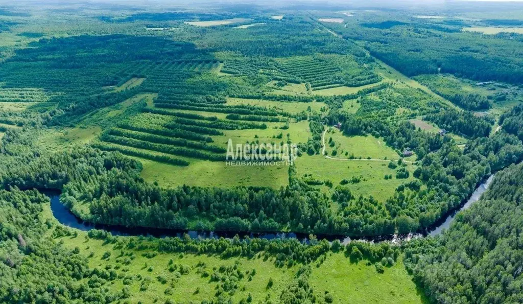 Участок в Карелия, Питкярантский муниципальный округ, д. Ряймяля  ... - Фото 0