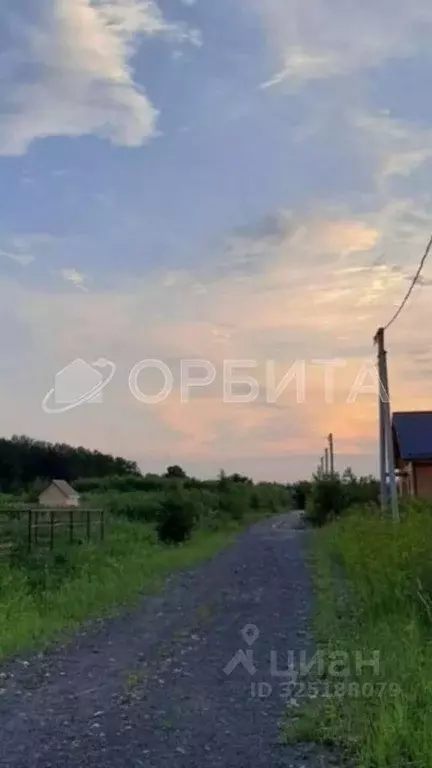 Участок в Тюменская область, Тюменский муниципальный округ, с. Ембаево ... - Фото 2