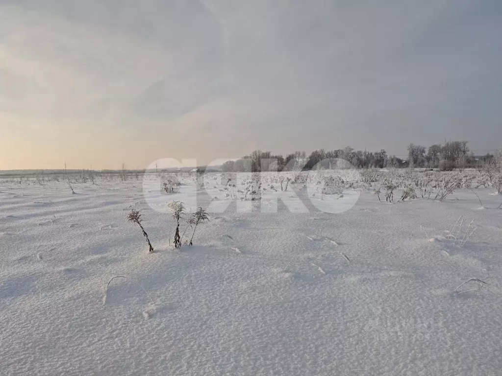 Участок в Московская область, Коломна городской округ, д. Андреевка 19 ... - Фото 1