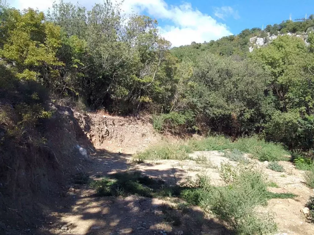 Участок в Крым, Ялта муниципальный округ, Голубой Залив пгт ул. ... - Фото 1