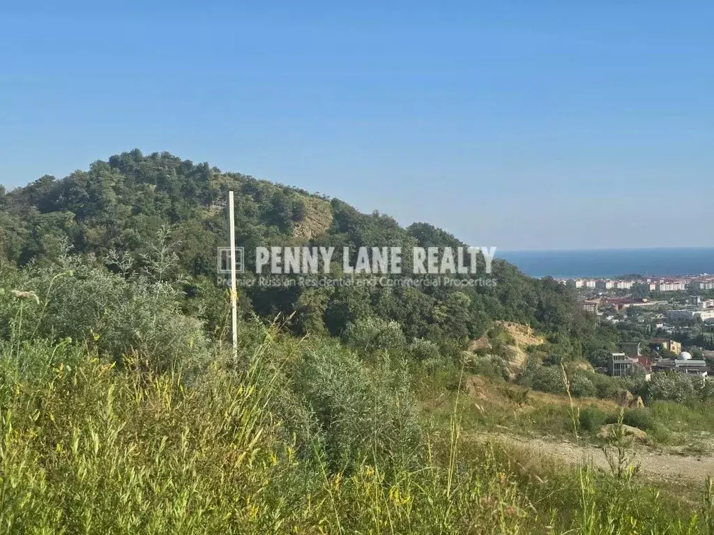 Участок в Краснодарский край, Сочи ул. Ворошиловградская (12.0 сот.) - Фото 2