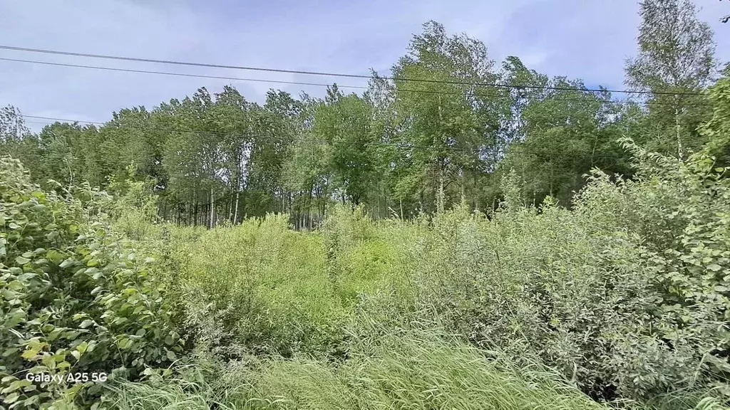 Участок 7,6 сот. (СНТ, ДНП) - Фото 1