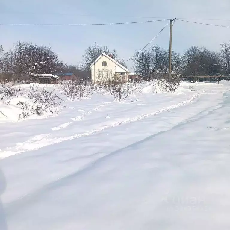 Участок в Краснодарский край, Тимашевский район, Медведовское с/пос, ... - Фото 1