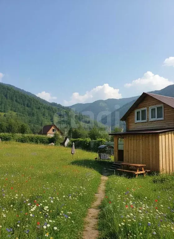 Дом в Алтай, Майминский район, с. Усть-Муны Березовая ул., 21 (53 м) - Фото 1