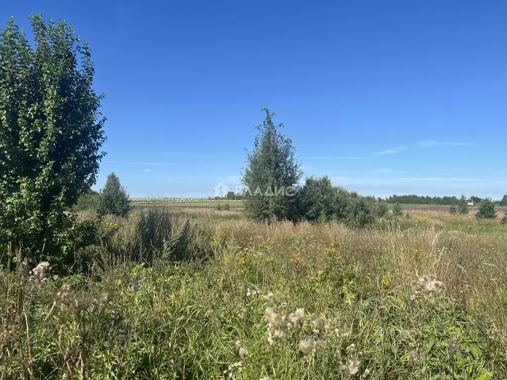 Участок в Владимирская область, Ковровский район, Доброград ... - Фото 1