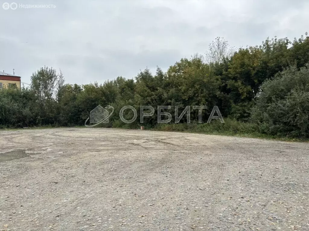 Участок в Тюмень, Барабинская улица (21.13 м) - Фото 1