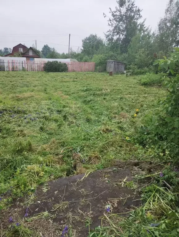 Участок 6 сот. (СНТ, ДНП) - Фото 0