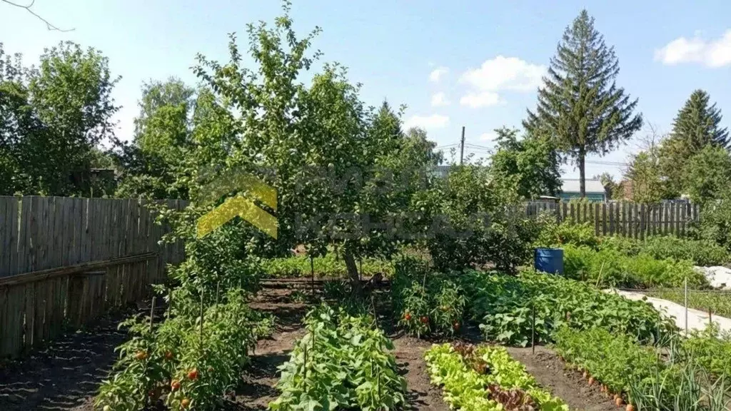 Дом в Омская область, Омск Дары Сибири СНТ, аллея 20-я (24 м) - Фото 2