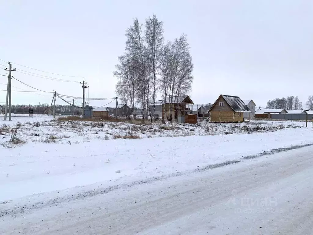 Участок в Новосибирская область, Новосибирский район, Сибирские ... - Фото 1