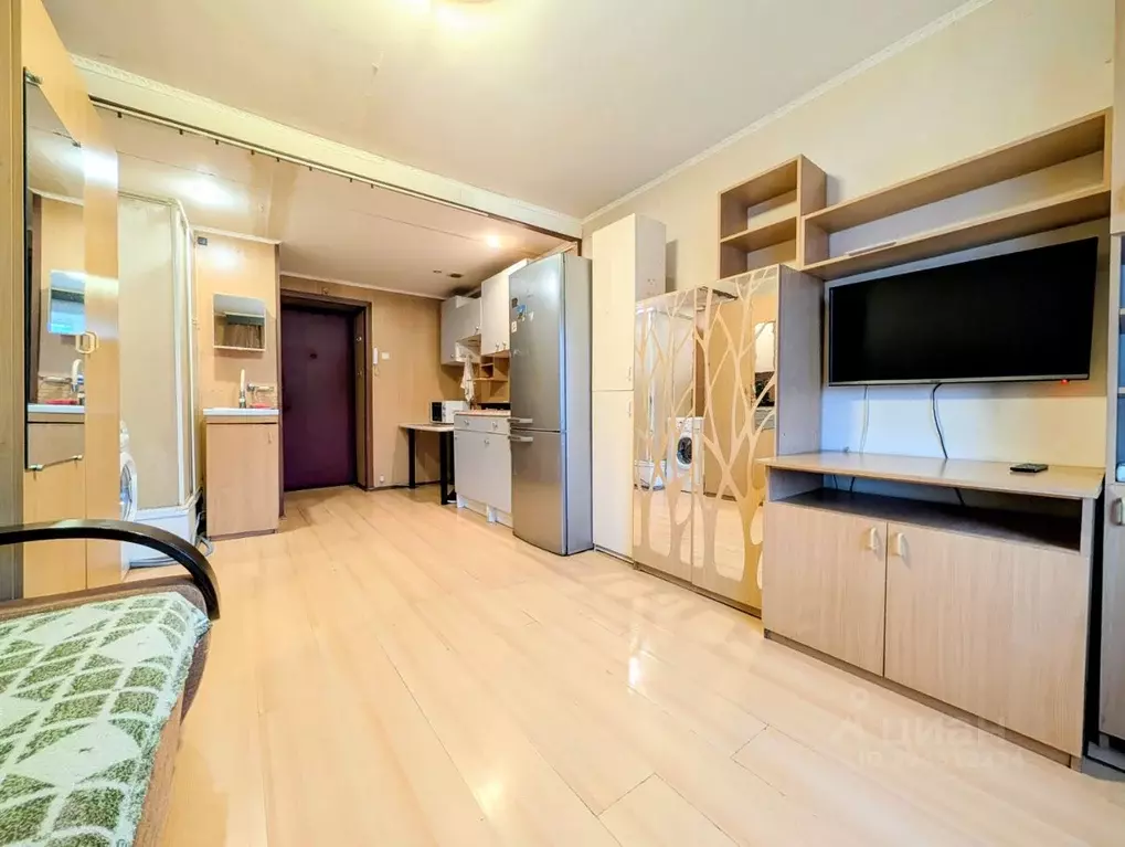 Студия Московская область, Дедовск г. Истра муниципальный округ, ул. ... - Фото 1