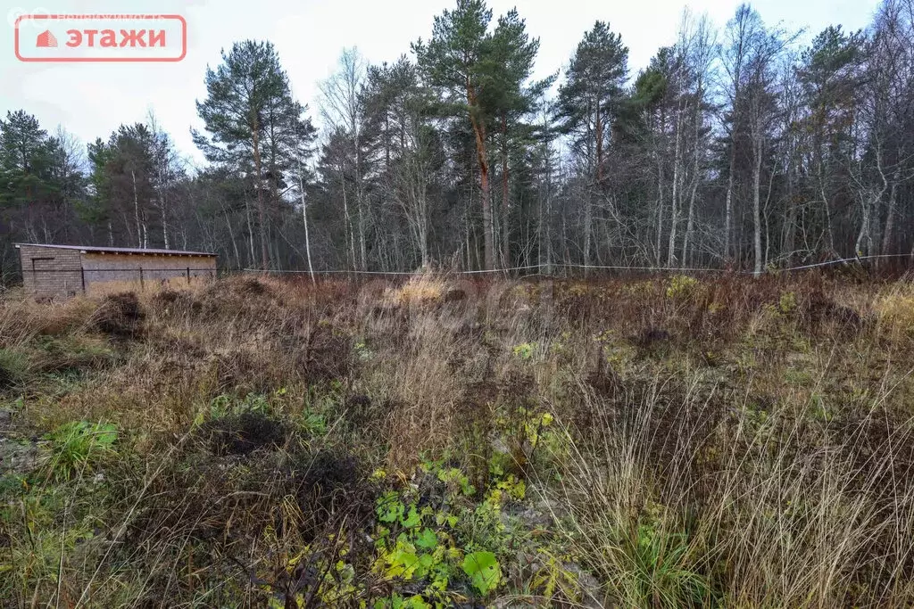 Участок в Шуйское сельское поселение, деревня Бесовец, жилой массив ... - Фото 2