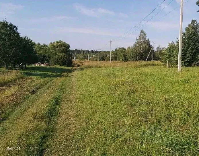 Участок в Вологодская область, Череповецкий район, Югское ... - Фото 0