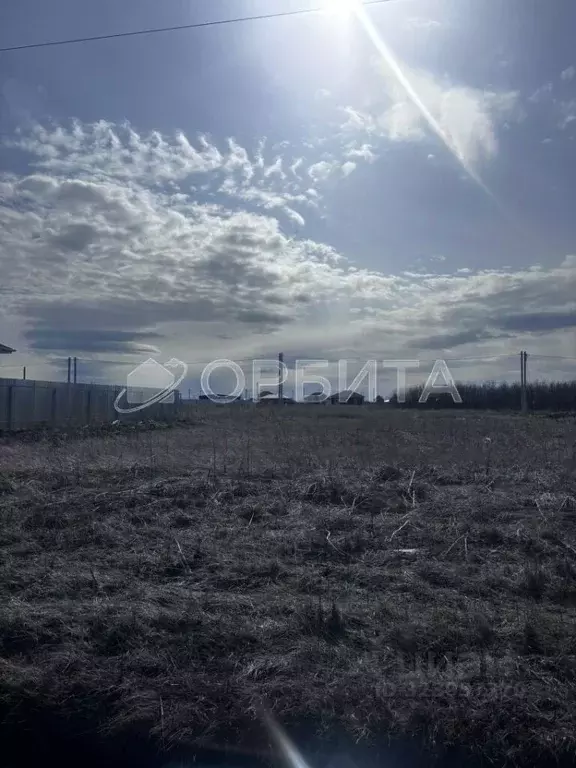 Участок в Тюменская область, Тюменский муниципальный округ, с. Успенка ... - Фото 2