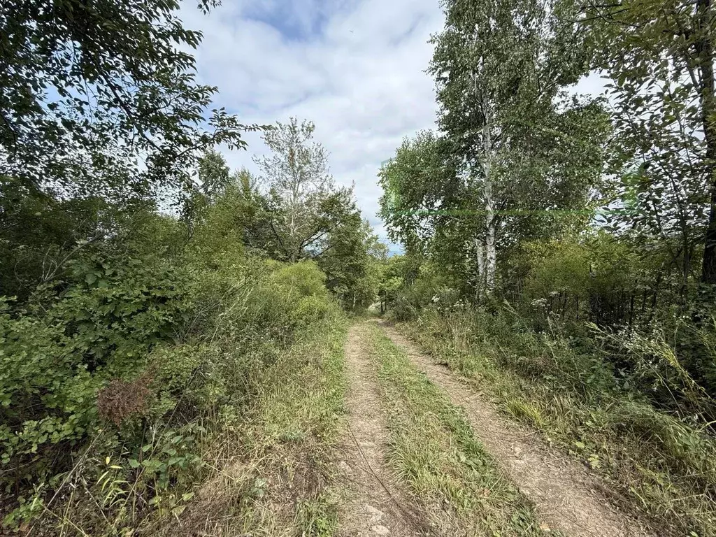 Участок в Приморский край, Артем Тигровый СНТ, 12 (10.0 сот.) - Фото 2