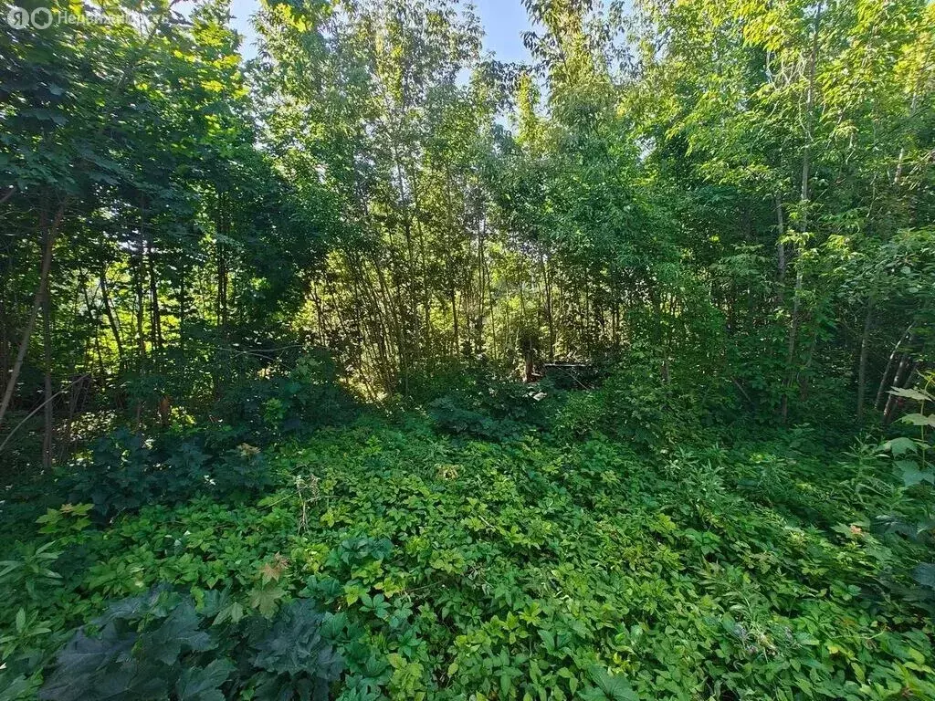 Участок в Королёв, Болшевское шоссе, 13 (7 м) - Фото 0