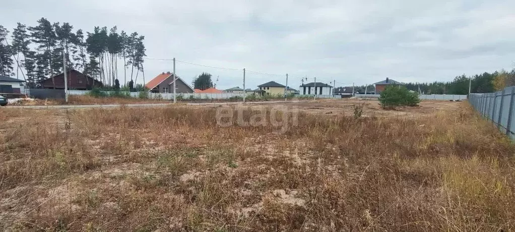 Участок в Воронежская область, Рамонский район, с. Ямное ул. Имени ... - Фото 1